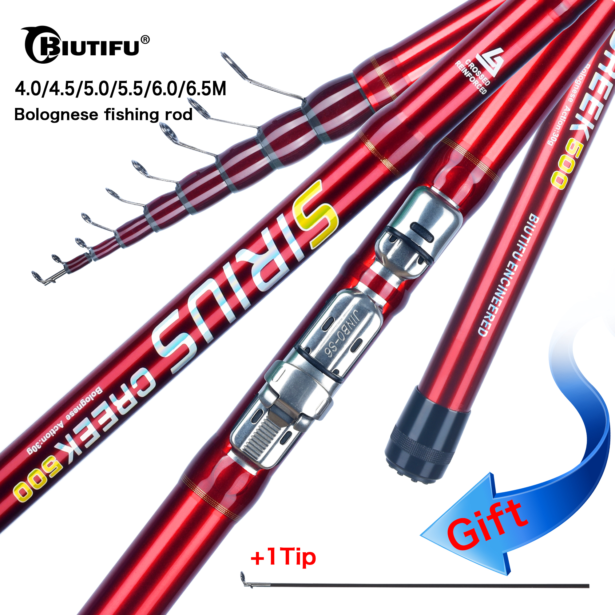 BIUTIFU Telescopic Bolognese F - Fishing Rod Surf review and price